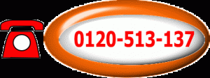 0120-513-137