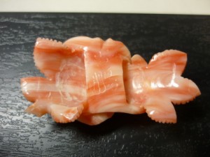 出張買取　珊瑚　帯留め　東京　世田谷
