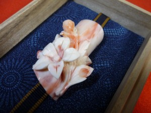 出張買取　珊瑚　帯留め　東京　世田谷