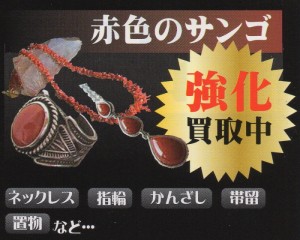珊瑚　出張買取