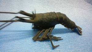 自在 えび 海老